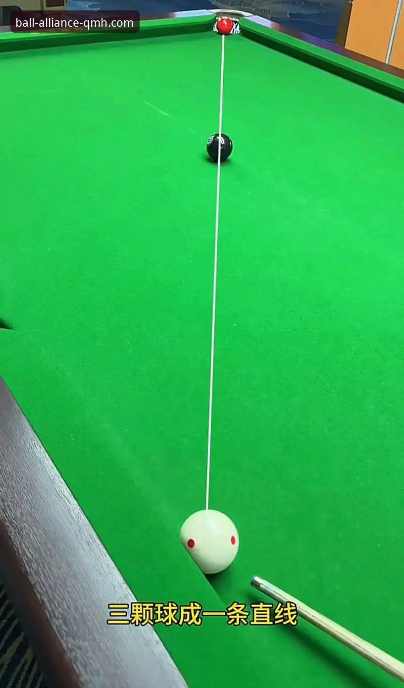 球盟会官方平台体验全指南：从下载到实战的深度解析